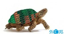 什么是海龟交易法（Turtle Trading System）？海龟交易法则具体有哪些规则与操作步骤？