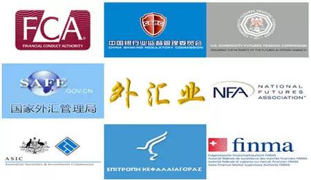 12张图带你认识真正的“外汇狗”